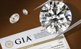 Tierra Diamond công bố chương trình hoàn tiền 100%: Tiên phong thúc đẩy minh bạch giá kim cương