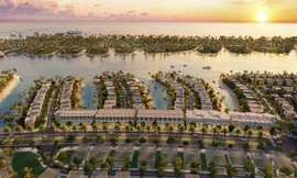 Giải mã sức hút TOD Cần Giờ và đặc quyền sống biểu tượng tại phân khu Vịnh Tiên