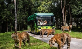 Trọn bộ trải nghiệm độc nhất biến Phú Quốc trở thành điểm đến nhất định phải thử mùa hè này