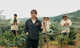 Hành trình ghi dấu ấn trên sàn thương mại điện tử của thương hiệu cà phê Việt 