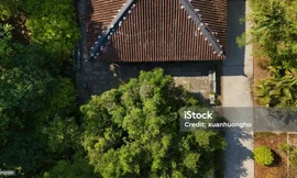 The Meadow: Từ nếp nhà Nam Bộ đến kiến trúc ưu sinh thái Biophilic