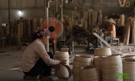 Hành trình kết nối xanh: Nghề bền bỉ ở Cát Đằng 