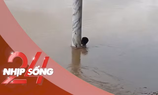 NHỊP SỐNG 24: Tranh luận câu chuyện cứu bé trai 'mắc kẹt' dưới sông Lam