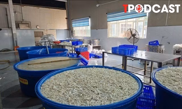 NÓNG 14/7: Phát hiện hơn 13 tấn chân gà ngâm hóa chất tẩy trắng