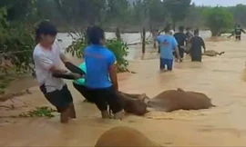 Nhiều ngân hàng giảm lãi suất cho khách bị thiệt hại bão lũ