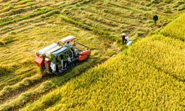 '80 năm qua, nông dân là người vẽ nên con đường đổi mới của đất nước'