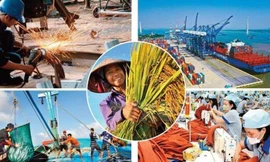 Ảnh: Tài chính online.