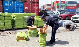 Phê bình Chi cục Hải quan khu vực II vì nhiều cán bộ vi phạm kỷ luật