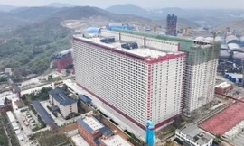 'Chung cư' cho lợn - Giải pháp mới cho ngành chăn nuôi Việt Nam