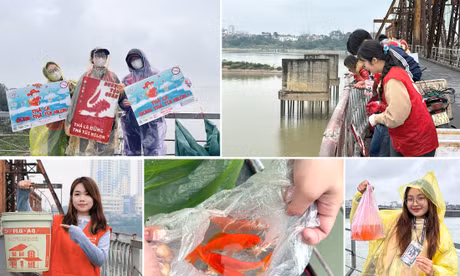 Gen Z làm 'Đường Táo Quân' gìn giữ Tết xưa