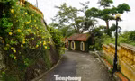 Lạ mắt lối đi mới dẫn vào khu vực dinh thự vua Bảo Đại ở Đồ Sơn