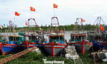 Ngư dân Hải Phòng 'nói không' với khai thác hải sản bất hợp pháp