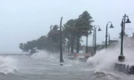Cơn bão Wipha dự báo có đường đi khá giống siêu bão Yagi