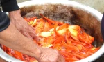 Bên trong 'thủ phủ' cá chép đỏ miền Bắc trước ngày ông Công, ông Táo