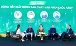 TRỰC TIẾP: Nhận định thị trường bất động sản 2026: Dòng tiền nhà đầu tư chảy vào phân khúc nào?