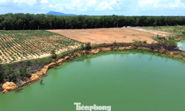 hồ dầu tiếng