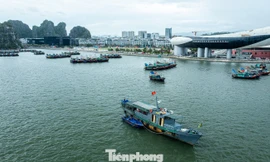 Quảng Ninh đưa trí tuệ nhân tạo AI vào quản lý du lịch