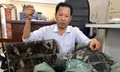 Chim yến được lực lượng Công ty Yến sào Khánh Hòa giải cứu