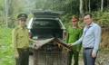 Động vật nguy cấp được thả về rừng Tam Đảo