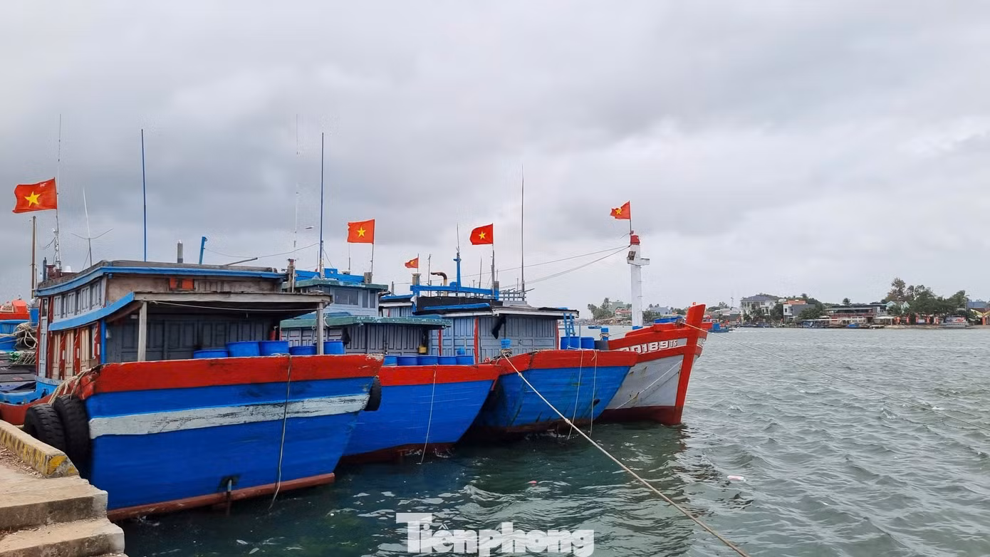 tp-tau-ca-cua-ngu-dan-dn-neo-dau-tai-cang-tam-quang.jpg