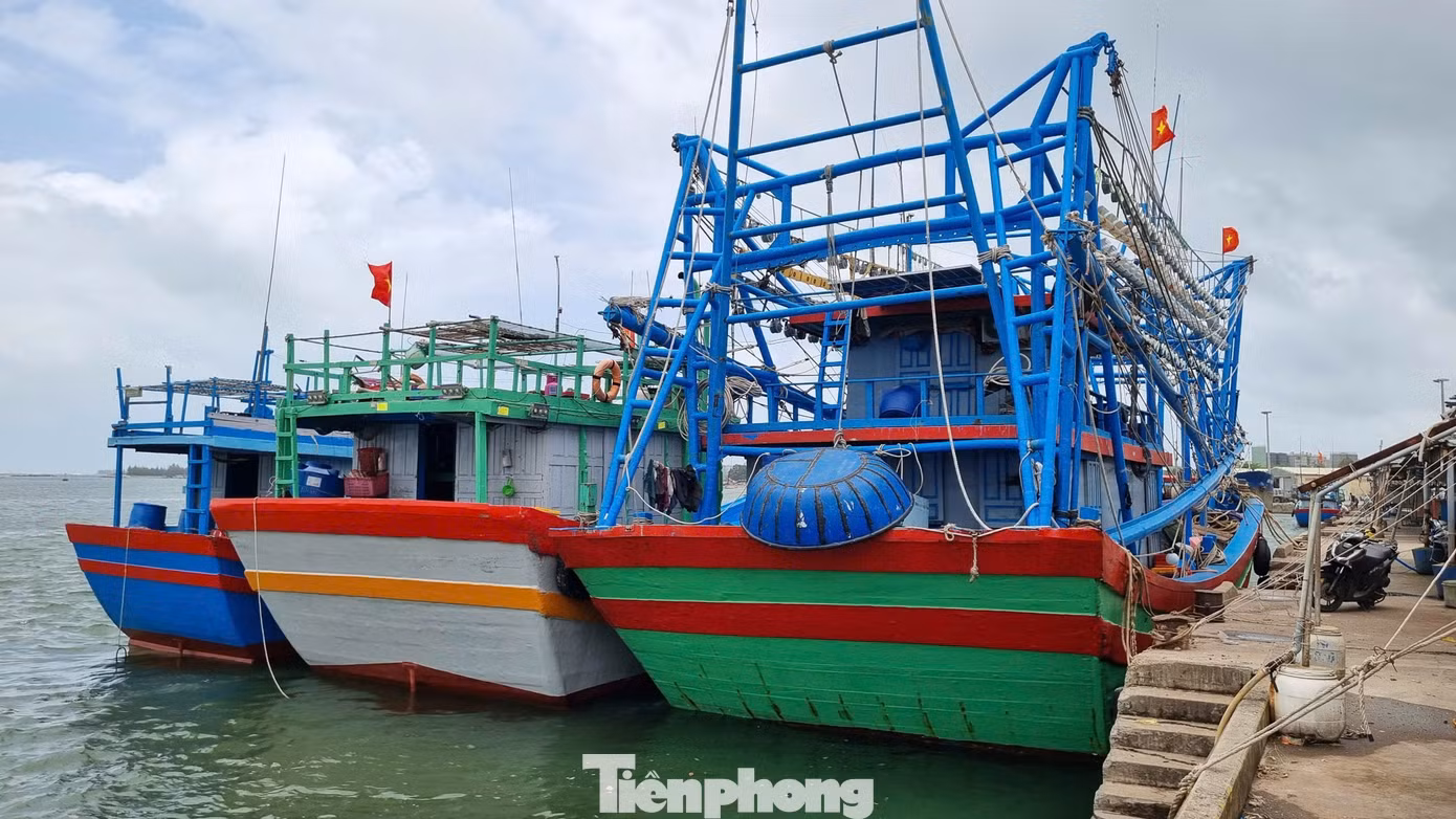 tp-tau-neo-dau-tai-cang-ca-tam-quang.jpg