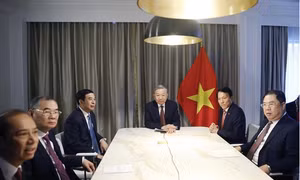 Tổng Bí thư Tô Lâm điện đàm với người bạn gắn bó với Việt Nam tại Mỹ