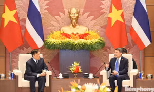 Việt Nam và Thái Lan còn nhiều dư địa để hỗ trợ, bổ sung cùng nhau phát triển