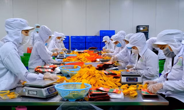Xung đột Trung Đông: Cú sốc dây chuyền tới xuất khẩu nông sản Việt 
