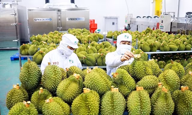 Vừa đón tin vui xuất siêu hơn 7 tỷ USD, nông sản Việt đối mặt ‘cửa ải’ mới