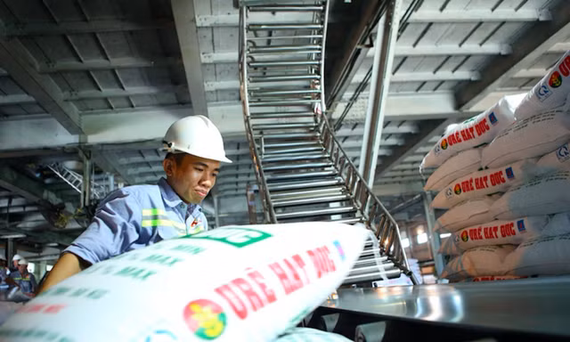 Đề xuất giảm thuế xuất khẩu phân bón từ 5% xuống 0%