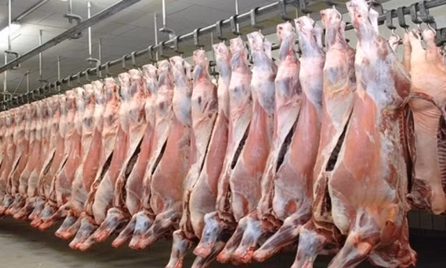 Hơn 100.000 tấn thịt Ấn Độ vào Việt Nam, phần lớn là thịt trâu đông lạnh