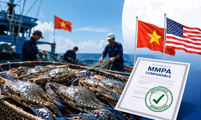 Tin vui với ghẹ Việt Nam xuất Mỹ