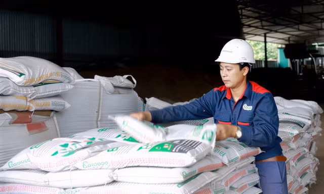Hàn Quốc, Philippines tăng mua giá cao, xuất khẩu phân bón sắp lập kỷ lục