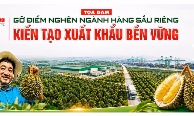 Sáng mai, Báo Tiền Phong tọa đàm gỡ 'điểm nghẽn' ngành hàng sầu riêng