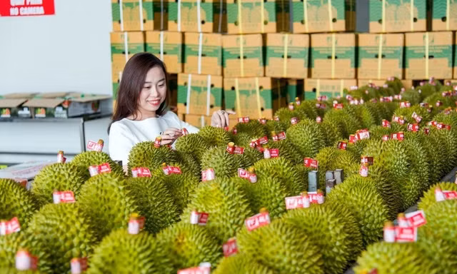 Thương mại Việt Nam - Trung Quốc tăng tốc kỷ lục