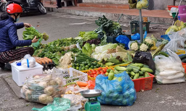 Rau củ đắt hơn thịt, người Hà Nội choáng như bị 'móc túi' 