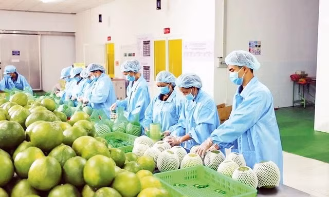Nông sản 'chạy nước rút' hướng đến mốc 18 tỷ USD cuối năm