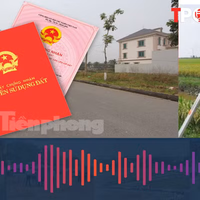 Nhiều trường hợp được cấp sổ đỏ mới