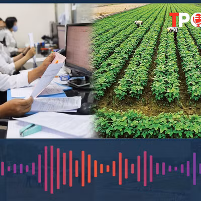 Vì sao cán bộ, công chức không được cấp đất nông nghiệp?