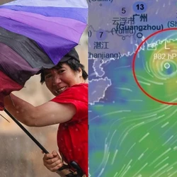 Có mô hình dự báo sắp hình thành bão đi vào khu vực biển Đông