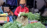 Người Hà Thành 'săn' mùi già về tắm Tất niên