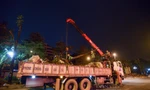 Xuyên đêm đốn hạ, di dời hơn 400 cây xanh để mở rộng đường ở Hà Nội
