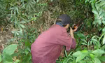 Ảnh minh họa: Internet