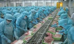 Xuất khẩu cá tra tăng vọt, ngành thủy sản tiếp tục bội thu