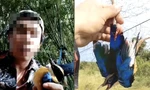 Chiêu tận diệt chim trời: Khâu mắt chim sống, bẫy lưới tàng hình