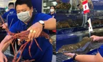 Bất chấp dịch bệnh, hải sản ngoại 'đắt xắt ra miếng' vẫn tiêu thụ mạnh 