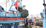 Sau tết, ngư dân miền Trung tất bật vươn khơi bám biển