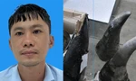 Phát hiện đường dây nhập lậu sừng tê giác, ngà voi... qua loạt công ty 'ma'