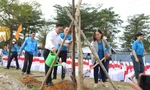 Trồng 1.000 cây, thêm mảng xanh cho khu công nghiệp ở Đà Nẵng
