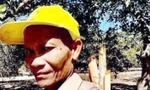 Đồng Nai huy động lực lượng tìm kiếm một người nghi đi lạc trong rừng Cát Tiên 